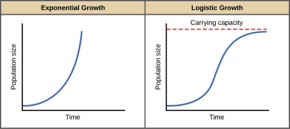 when-does-exponential-growth-of-a-population-occur-apex-who-what